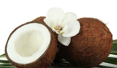 常吃這幾種食物,對腸道好,能保護消化健康